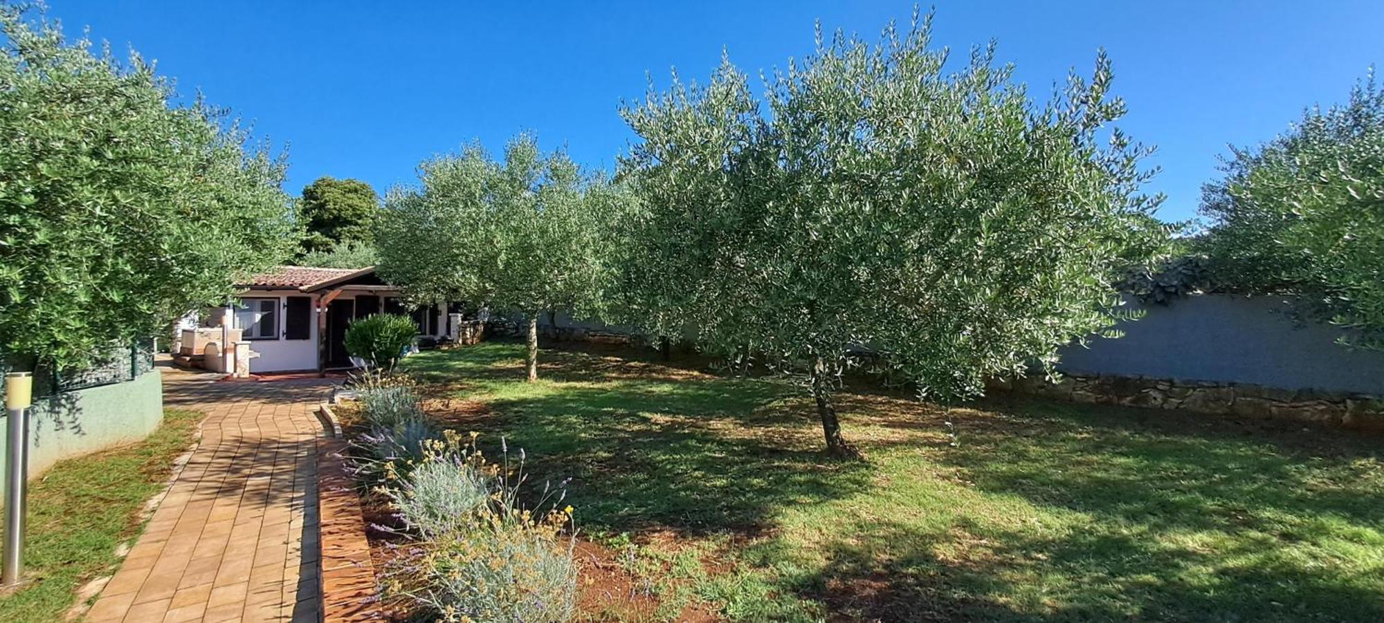 רוביני Holiday Houses Marta מראה חיצוני תמונה