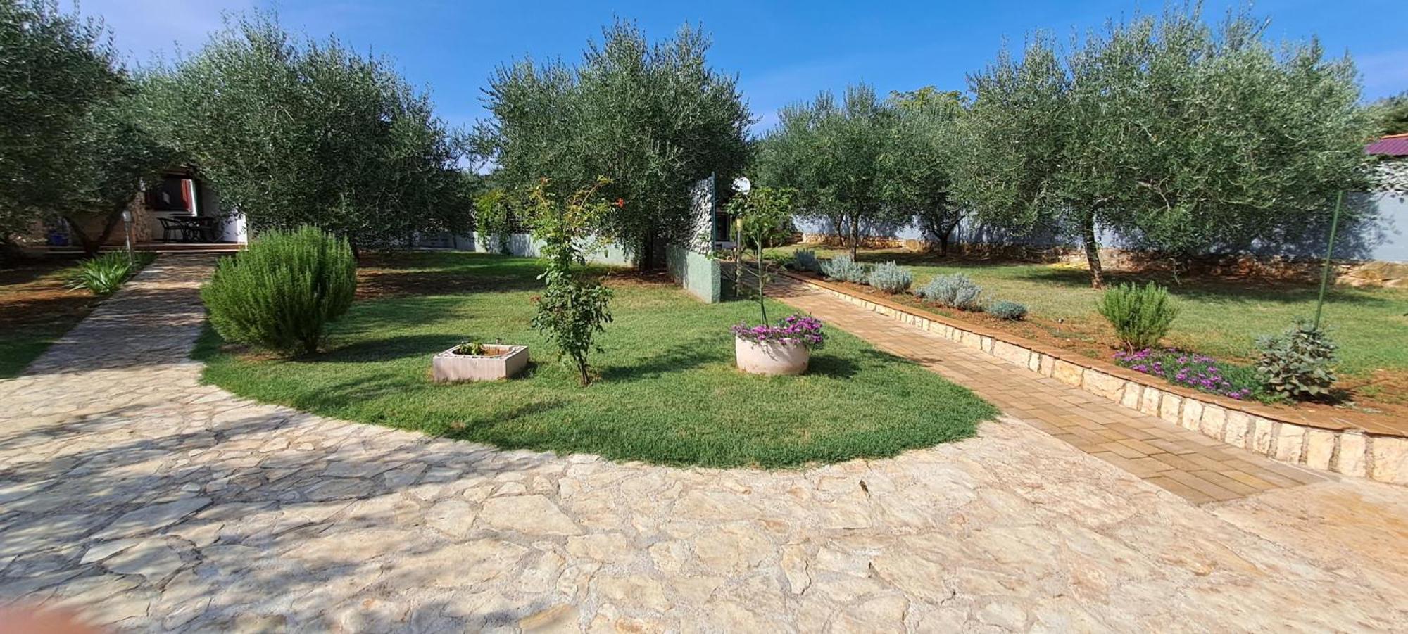 רוביני Holiday Houses Marta מראה חיצוני תמונה