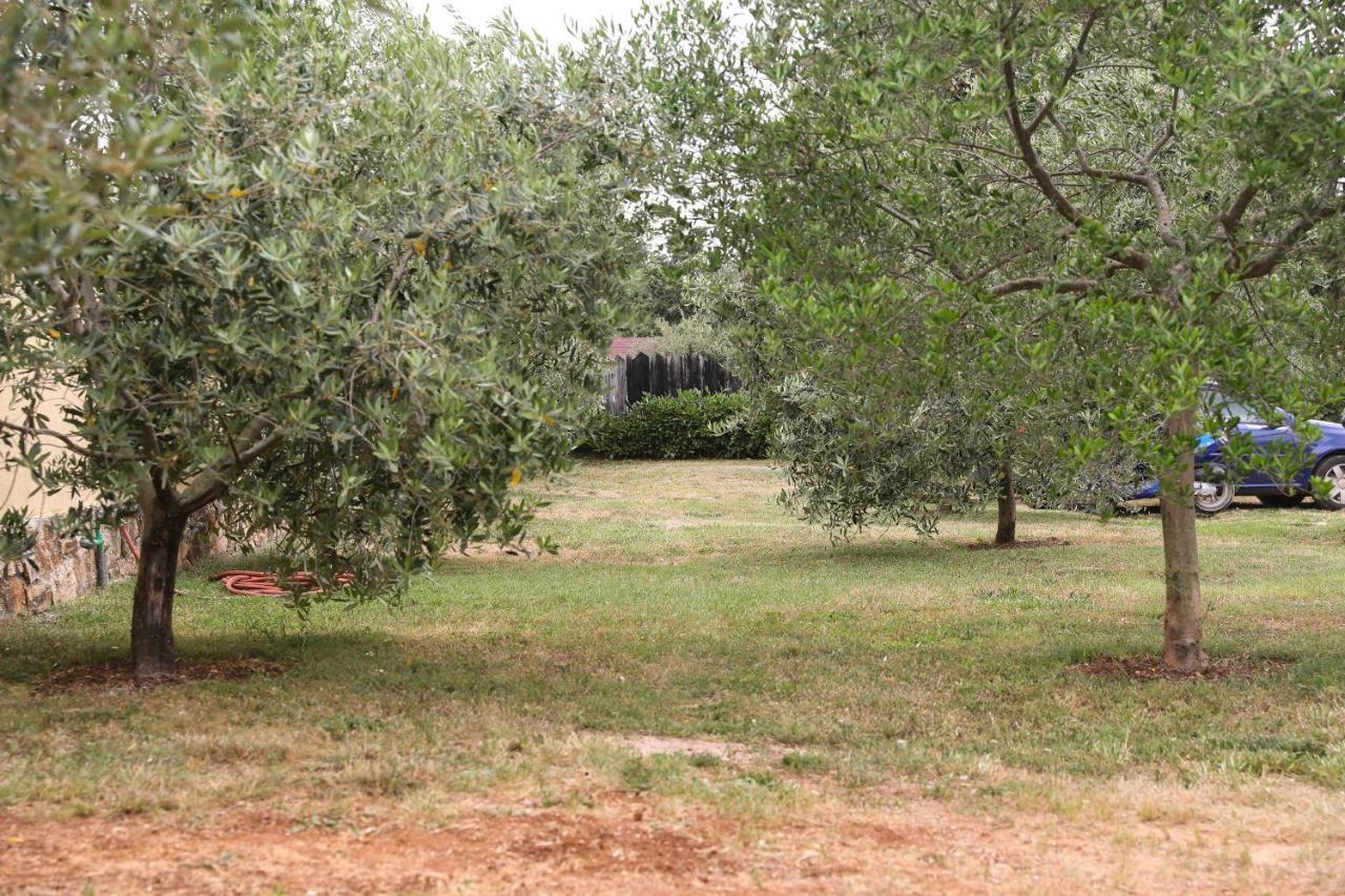 רוביני Holiday Houses Marta מראה חיצוני תמונה